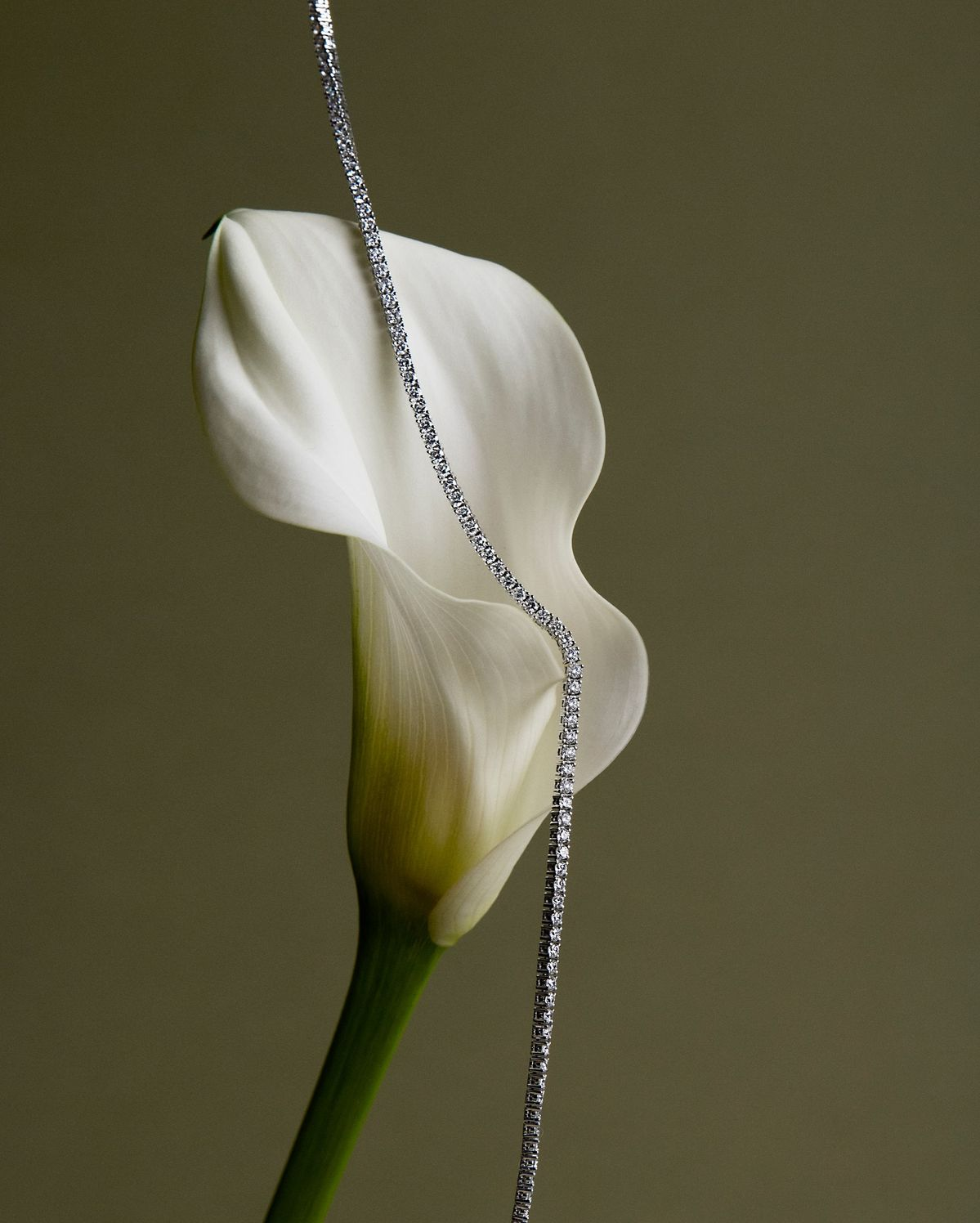 Evokaa Ghaf Canopy Necklace